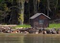 Pourquoi choisir un camping en bord de mer ?