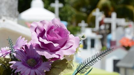 Plongez dans l'atmosphère mystérieuse du cimetière du Montparnasse