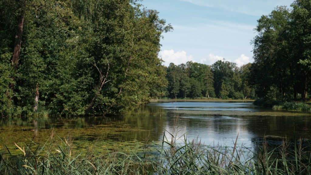 Séjournez dans un hébergement insolite : découvrez la magie du parc de la Brenne