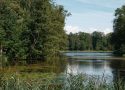 Séjournez dans un hébergement insolite : découvrez la magie du parc de la Brenne