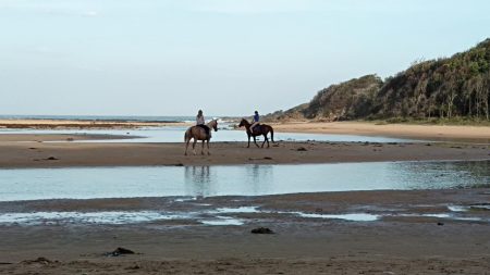 Séjour en Camargue : une immersion entre traditions, nature et grands espaces