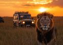 Safari au Kenya : immersion dans la vie sauvage et les paysages exceptionnels
